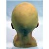 Image 2 : ULTRAVIOLET - Decapitated Stunt Head