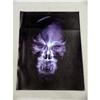 Image 2 : UNDERWORLD 2 Vampire X-Ray Photo Movie Props