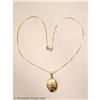 Image 1 : EXRCSM EMILY ROSE Erin(Laura Linney)Locket