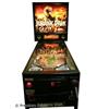 Image 1 : Jurassic Park Pinball Machine