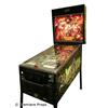 Image 3 : Black Rose Pinball Machine