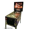 Image 3 : The Machine Bride of Pinbot Pinball Machine