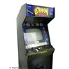 Shadow Force Arcade Game