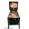 Image 1 : White Water Pinball Machine