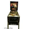 Image 1 : Cue Ball Wizard Pinball Machine