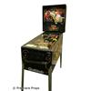 Image 2 : Cue Ball Wizard Pinball Machine