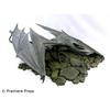 Image 1 : REIGN OF FIRE Dragon Model Movie Props