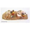 Image 1 : Poultrygeist Two Hatching Chickens Movie Props