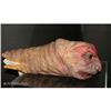 Image 3 : TROMEO & JULIET Monster Puppet Movie Props