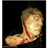 Image 1 : TERROR FIRMER Lloyd Kaufman Bust Movie Props