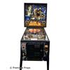 Image 1 : Frankenstein Pinball Machine