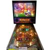 Image 2 : World Cup Soccer Pinball Machine
