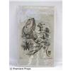 Image 1 : Ice Age 2 Manny & Sid Drawing