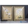 Image 1 : (2) Framed Flower Wall Art