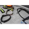 Image 8 : Dog Collars & Various Leads/Harnesses (Heavy Duty)