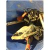 Image 2 : LARGE BLUE PLASTIC BIN OF ASSORTED POWER TOOLS INCLUDING HILTI TE 76P CONCRETE HAMMER DRILL,