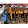 Image 1 : 3 LARGE WESTWARD ASSORTED TON CHAIN LEVELING HOISTS