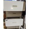 Image 2 : One large metal storage cabinet
