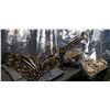 Image 2 : Lot of Costume Jewelry Approx. 15 Bags