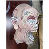 Image 2 : Creepy Severed heads - movie props