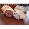 Image 3 : Creepy Severed heads - movie props