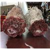 Image 2 : Creepy Severed heads - movie props