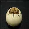 Image 3 : Early 20th C. carved ivory egg netsuke wit