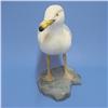 Image 2 : Hand carved and painted seagull; signed on