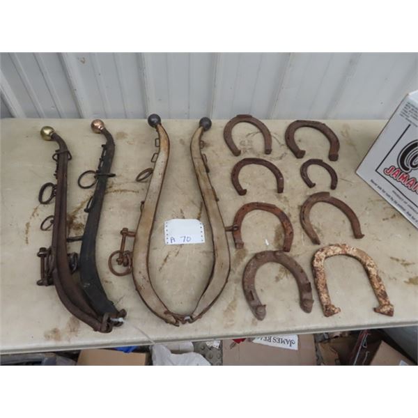8 Horse Shoes & 2 Set of Haimes