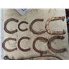 Image 2 : 8 Horse Shoes & 2 Set of Haimes