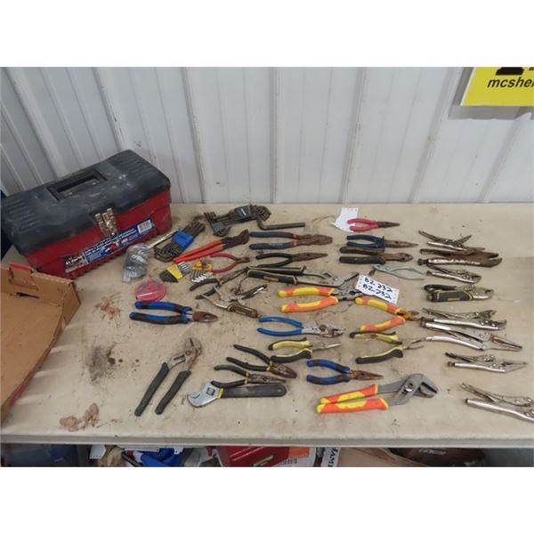 Vise Grips, Pliers, Cutters, Allan Wrenches, & Tool Box