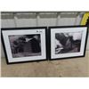 Image 1 : 2 Framed Sask Pool Pictures
