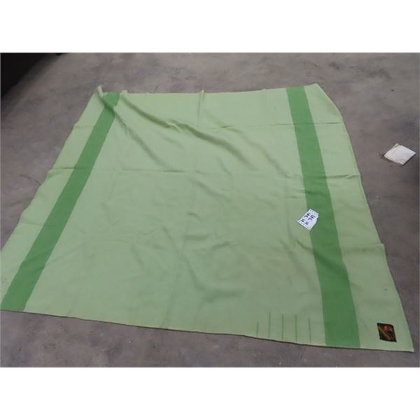 Trappers Point Wool Blanket w Beaver Marks