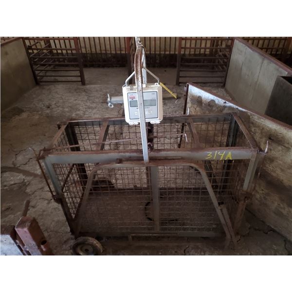 HOG SCALE LOCATED NORTH END OF HOG BARN