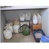 Image 1 : QUANTITY OF CHEMICALS & SMALL PROPANE TANKS BY THE MAND DOOR