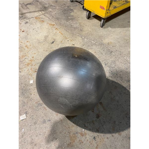 Exercise ball