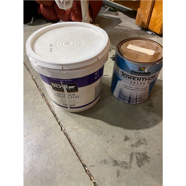 Ceiling flat paint and other can of paint