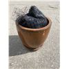 Image 1 : Planter pot and netting