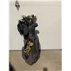 Image 1 : Golf clubs in bag