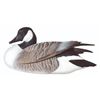 Image 1 : Canada Goose Decoy