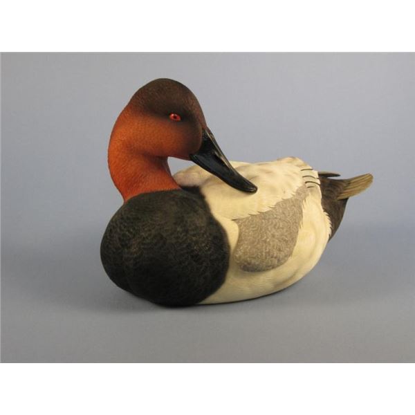 Jett Brunet Canvasback