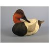 Image 1 : Jett Brunet Canvasback