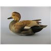 Image 1 : Jett Brunet Gadwall Decoy #2