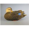 Image 1 : Jett Brunet Black Duck Decoy