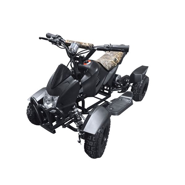 Electric Quad ATV