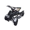 Image 1 : Electric Quad ATV