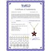 Image 2 : Genuine 1.40 ctw Garnet Necklace 14KT Yellow Gold - REF-25M8T