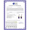 Image 2 : Genuine 13 ctw Amethyst & Peridot Earrings 14KT White Gold - REF-61F2Z