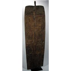 A FINE CENTRAL ASMAT SHIELD,
