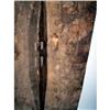 Image 9 : A FINE CENTRAL ASMAT SHIELD,